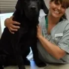 Entreprises 5 image CEDARWOOD VETERINARY HOSPITAL Veterinarians dans Red Deer AB