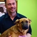 Entreprises 31 image CEDARWOOD VETERINARY HOSPITAL Veterinarians dans Red Deer AB
