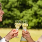 Entreprises 9 image CENTRAL PARK DENTURE CLINIC Health & Medicine dans Victoria BC