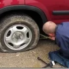 Entreprises 11 image CENTRAL TOWING SERVICES Towing Services dans Toronto ON