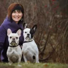 Entreprises 2 image CENTRAL VALLEY VETERINARY HOSPITAL Veterinarians dans Kelowna BC