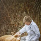 Entreprises 1 image CENTRAL VALLEY VETERINARY HOSPITAL Veterinarians dans Kelowna BC