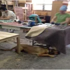 Entreprises 29 image CENTRE DE RÉNOVATION DU MEUBLE J T ENR Real Estate & Home Improvement dans Saint-hubert QC