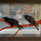 Business 1 image CHEEKY MONKEY GLASSWORKS Industries & Agriculture in Nanaimo BC