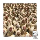 Business 6 image CHEF KEBAB Restaurants in Laval QC