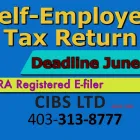 Business 10 image CIBS LTD - COMMISSIONER FOR OATHS, TAX CONSULTANTS, WILLS, CANADIAN PARDONS, USA TRAVEL WAIVERS Will Writing Services in Calgary AB