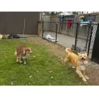 Entreprises 3 image CLAPPISON ANIMAL HOSPITAL Veterinarians dans Hamilton ON
