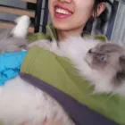 Business 3 image CLEANING WITH LOVE House Cleaning Services in Vancouver BC