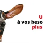 Entreprises 5 image CLINIQUE AUDITIVE IOANNONI, AUDIOPROTHÉSISTES Hearing Aids Repair & Maintenance dans Montréal QC