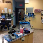 Entreprises 6 image CLINIQUE VÉTÉRINAIRE ST JEAN BAPTISTE Veterinarians dans Pointe-aux-trembles QC