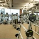 Business 3 image CLUB16 TREVOR LINDEN FITNESS & SHE'S FIT! Sports & Recreation in Vancouver BC