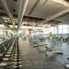 Business 1 image CLUB16 TREVOR LINDEN FITNESS & SHE'S FIT! Sports & Recreation in Vancouver BC