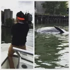 Entreprises 5 image COAL HARBOUR BOAT RENTALS travel & tourism dans Vancouver BC