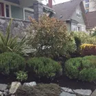 Business 6 image COASTAL ROOTS LANDSCAPE & TREE Real Estate & Home Improvement in Victoria BC