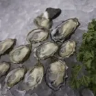 Business 5 image COASTLINE CATERING Restaurants in Toronto ON