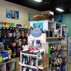Entreprises 2 image COCOMUTTS Pet Grooming Services dans Stittsville ON