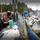 Business 2 image COLD WATER DIVERS INC Education in North Saanich BC