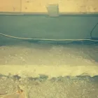 Business 41 image COMBAT FOAM INSULATION INC Real Estate & Home Improvement in Hamilton ON