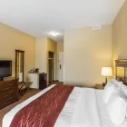 Business 37 image COMFORT HOTEL AIRPORT travel & tourism in St. John’s NL