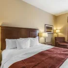Business 44 image COMFORT HOTEL AIRPORT travel & tourism in St. John’s NL