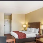Business 45 image COMFORT HOTEL AIRPORT travel & tourism in St. John’s NL
