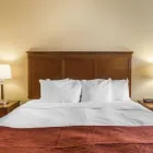 Business 5 image COMFORT HOTEL AIRPORT travel & tourism in St. John’s NL