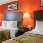 Entreprises 17 image COMFORT HOTEL & SUITES travel & tourism dans Peterborough ON