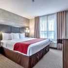 Business 6 image COMFORT INN & SUITES SOUTH travel & tourism in Calgary AB