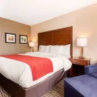 Entreprises 9 image COMFORT INN & SUITES travel & tourism dans Bowmanville ON