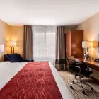 Entreprises 13 image COMFORT INN & SUITES travel & tourism dans Bowmanville ON