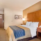 Entreprises 19 image COMFORT INN travel & tourism dans Bathurst NB