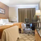 Business 11 image COMFORT INN travel & tourism in Hamilton ON