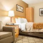 Business 12 image COMFORT INN travel & tourism in Hamilton ON