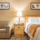 Business 13 image COMFORT INN travel & tourism in Hamilton ON