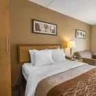 Entreprises 27 image COMFORT INN travel & tourism dans Sydney NS