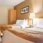 Business 14 image COMFORT INN travel & tourism in Hamilton ON