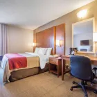 Entreprises 20 image COMFORT INN travel & tourism dans Bathurst NB