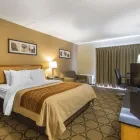Entreprises 31 image COMFORT INN travel & tourism dans Sydney NS