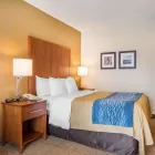 Entreprises 23 image COMFORT INN travel & tourism dans Bathurst NB