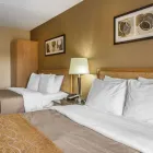 Entreprises 35 image COMFORT INN travel & tourism dans Sydney NS