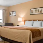 Entreprises 13 image COMFORT INN travel & tourism dans Swift Current SK