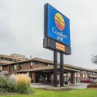 Business 16 image COMFORT INN travel & tourism in Hamilton ON