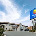 Entreprises 7 image COMFORT INN travel & tourism dans Brampton ON