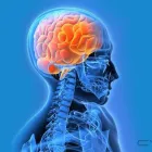 Entreprises 4 image COMMUNITY HEALTH & COUNSELLING Physiotherapists dans Scarborough ON
