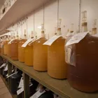 Entreprises 10 image COMPLETE HOME BREWING SUPPLIES Winemaking & Brewing Equipment & Supplies dans Hamilton ON