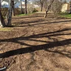 Business 17 image CORE LAND MANAGEMENT LTD. Industries & Agriculture in St John’s NL