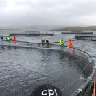 Entreprises 1 image CPI EQUIPMENT INC Water Treatment Equipment & Service dans Nanoose Bay BC