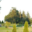 Business 6 image CRESCENT STABLES LTD Sports & Recreation in Delta BC