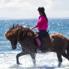 Business 9 image CRESCENT STABLES LTD Sports & Recreation in Delta BC