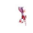 Business 2 image CSN COLLISION CENTRE Car Body Repairs in North Vancouver BC